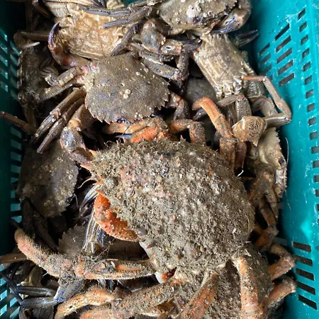 La Maison Des Phares *