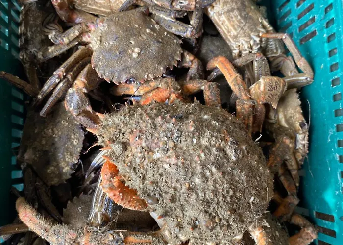 La Maison Des Phares *